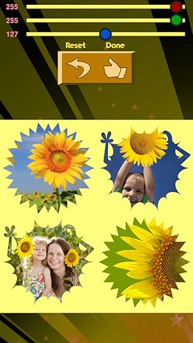Colagem de fotografia de girassol
