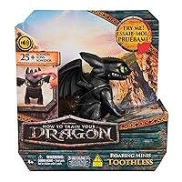 DreamWorks Dragons, Dragon Trainer