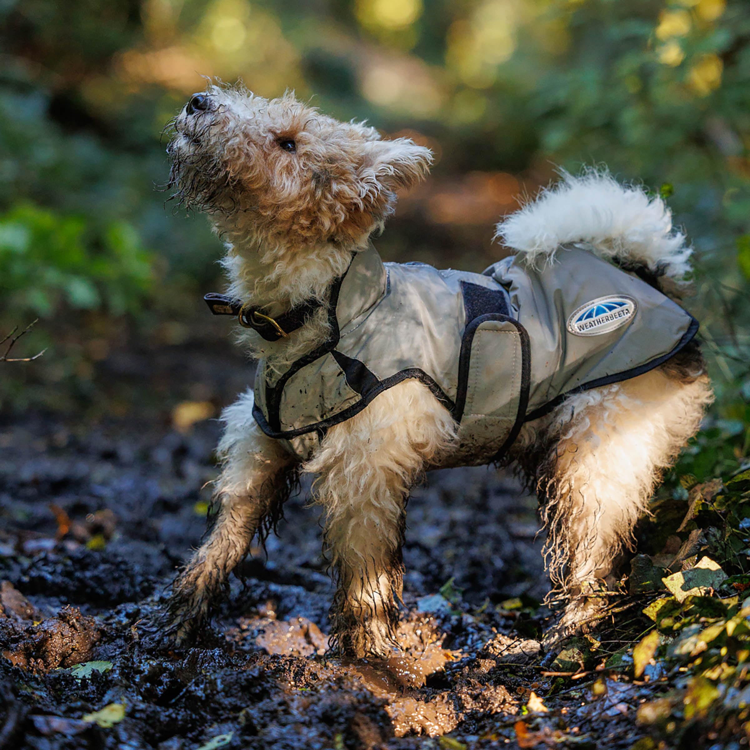 WeatherBeeta ComFiTec Reflective Dog Coat Medium, Silver, 50cm - Image 2