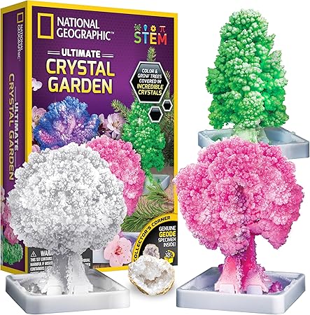 National Geographic Craft Kits for Kids - Crystal Growing Kit - Grow a Crystal Garden in Just 6 Hours, Educational Craft Includes Art Project, Geode, STEM Arts and Crafts for Girls (Amazon Exclusive)
