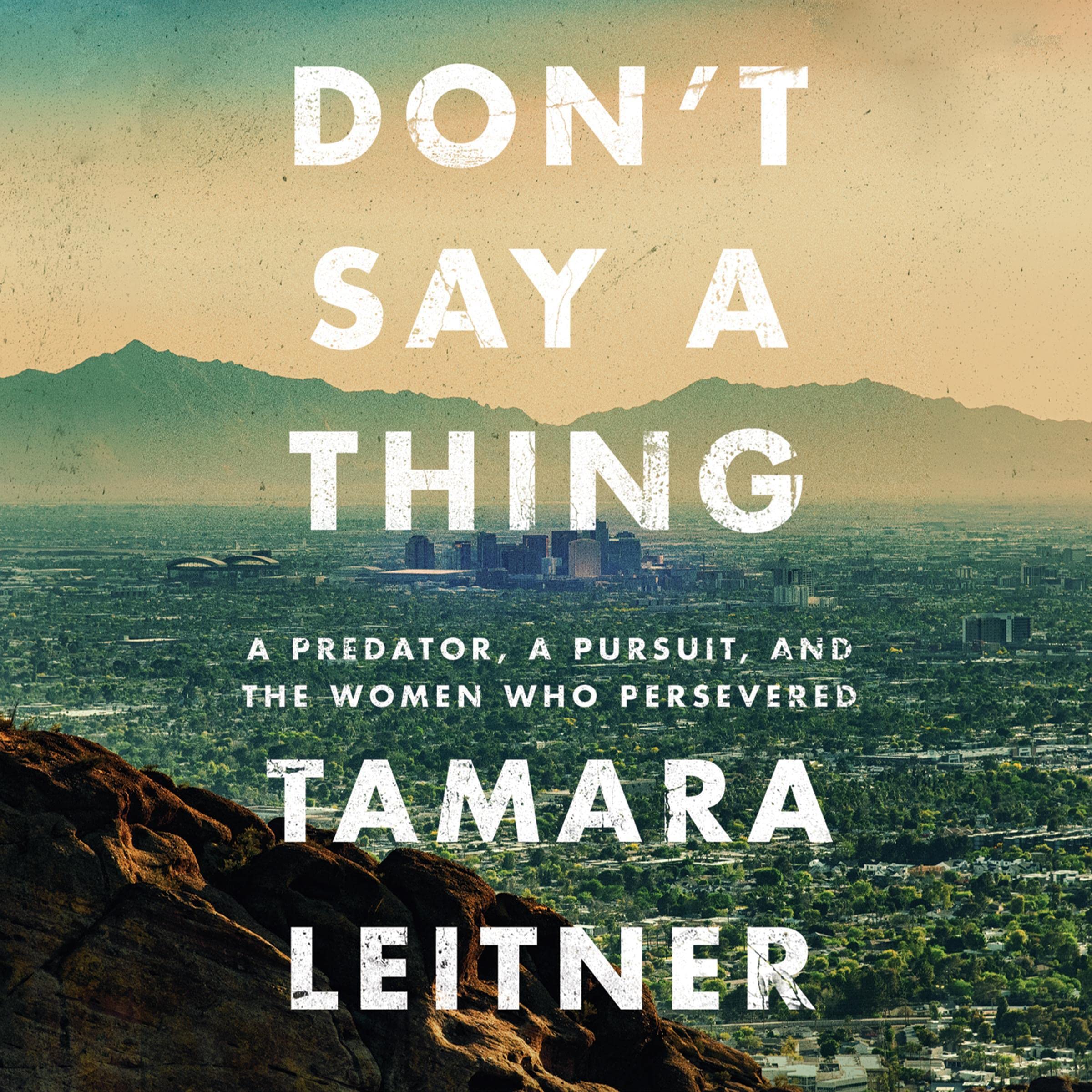 Cover art for Don't Say a Thing