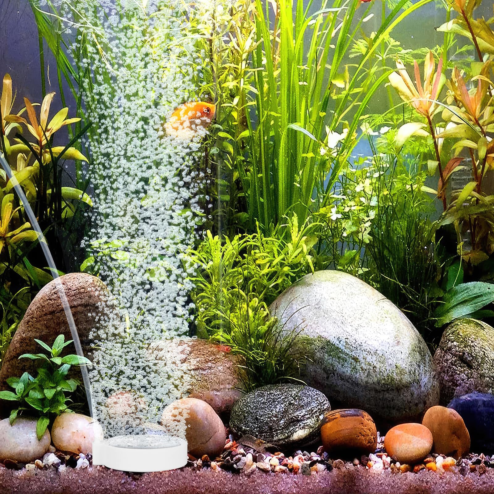 Pietra Porosa Per Acquario - Diffusore Di Bolle D'Aria Per Laghetti E Acquari | Collegabile Con Tubo 4mm/8mm
