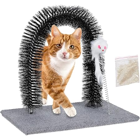 smartykat brush up cat grooming post