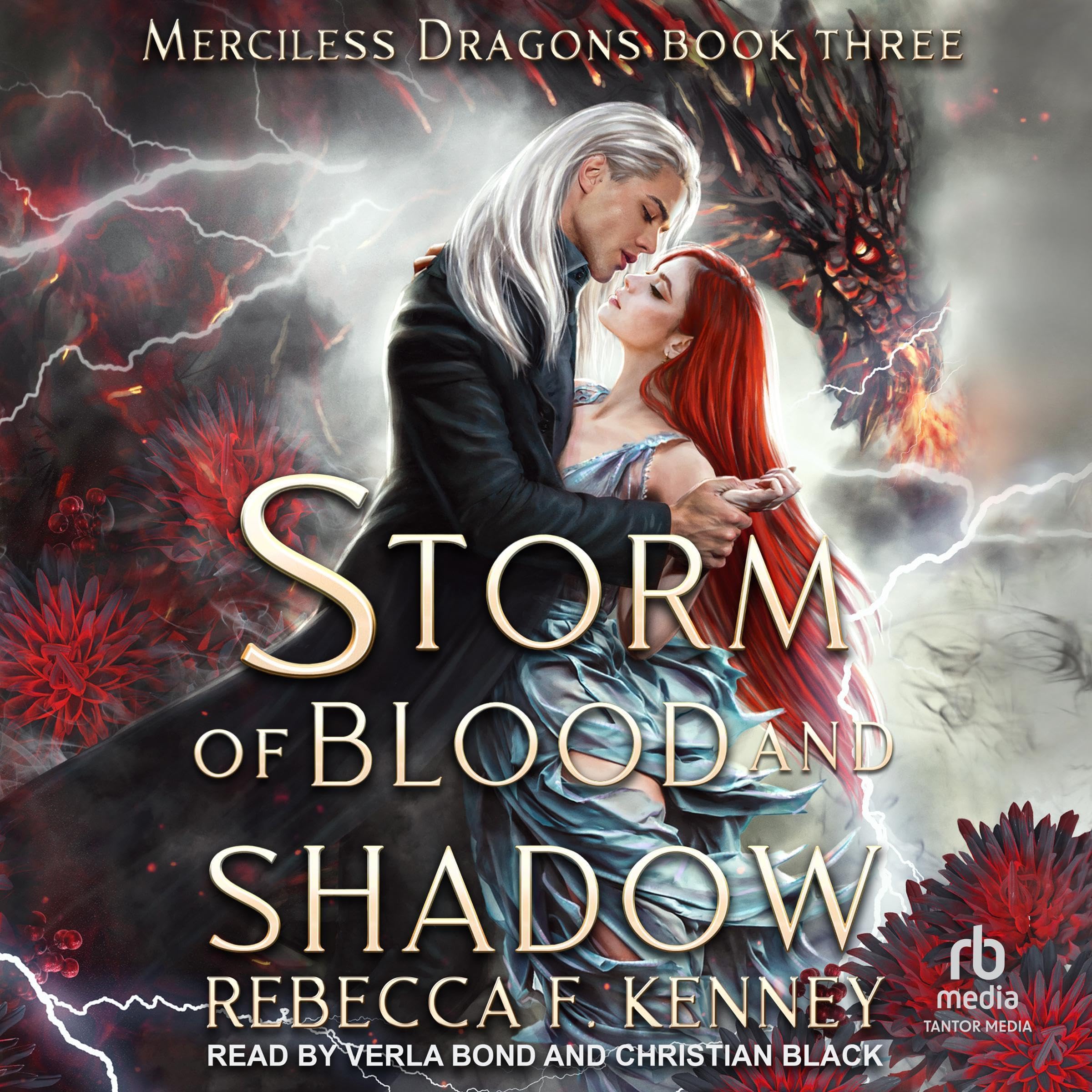 Cover art for Storm of Blood and Shadow
