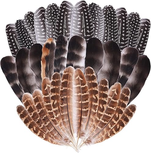Plumas naturales de pavo manchadas para manualidades, plumas de faisán, decoración de boda, hogar, fiesta, 36 unidades