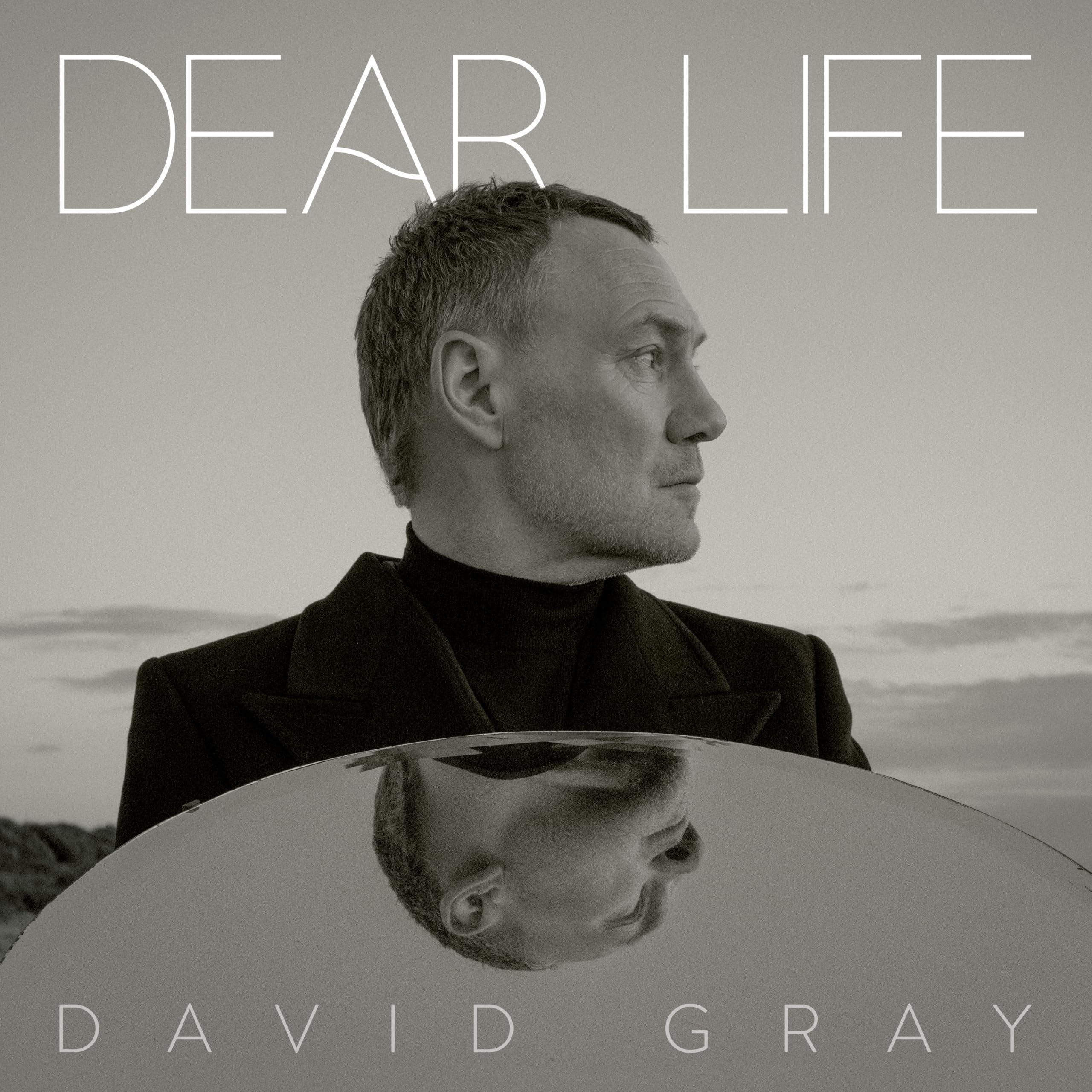 David Gray Vinyl Album Dear Life (US Import, 12-inch)