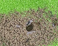 Vista 5 de AntHouse - Granja de hormigas de arena natural Kit grande de acrílico T 9.84x7.87x0.59 pulgadas