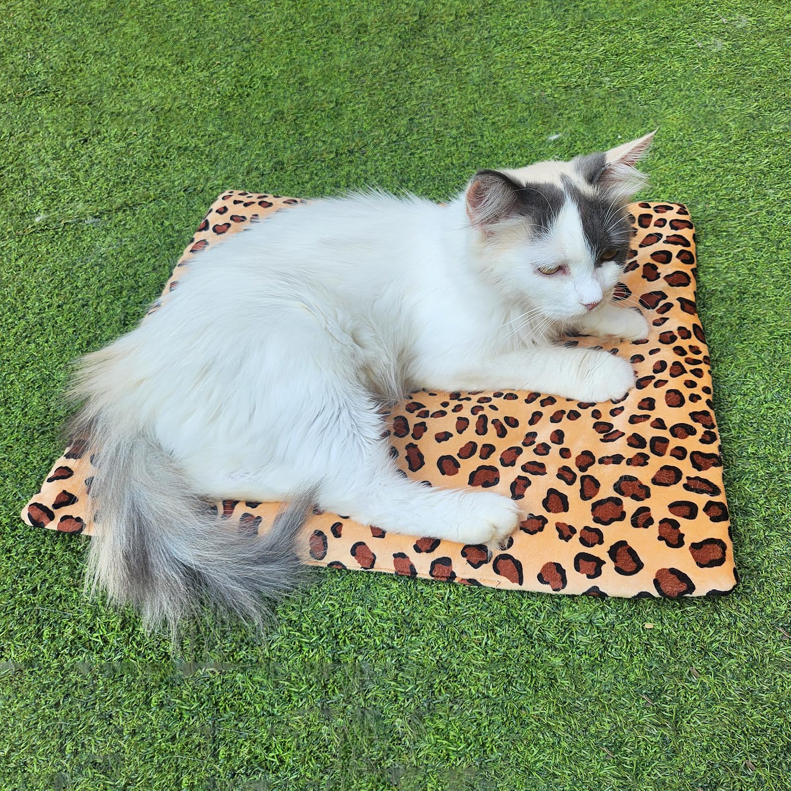 Coussin chauffant portable pour chats, chiots et petits animaux de compagnie, 3 réglages de température, lavable, tension 5 V, idéal pour l'intérieur et l'extérieur, 38,1 x 48,3 x 1,5 cm