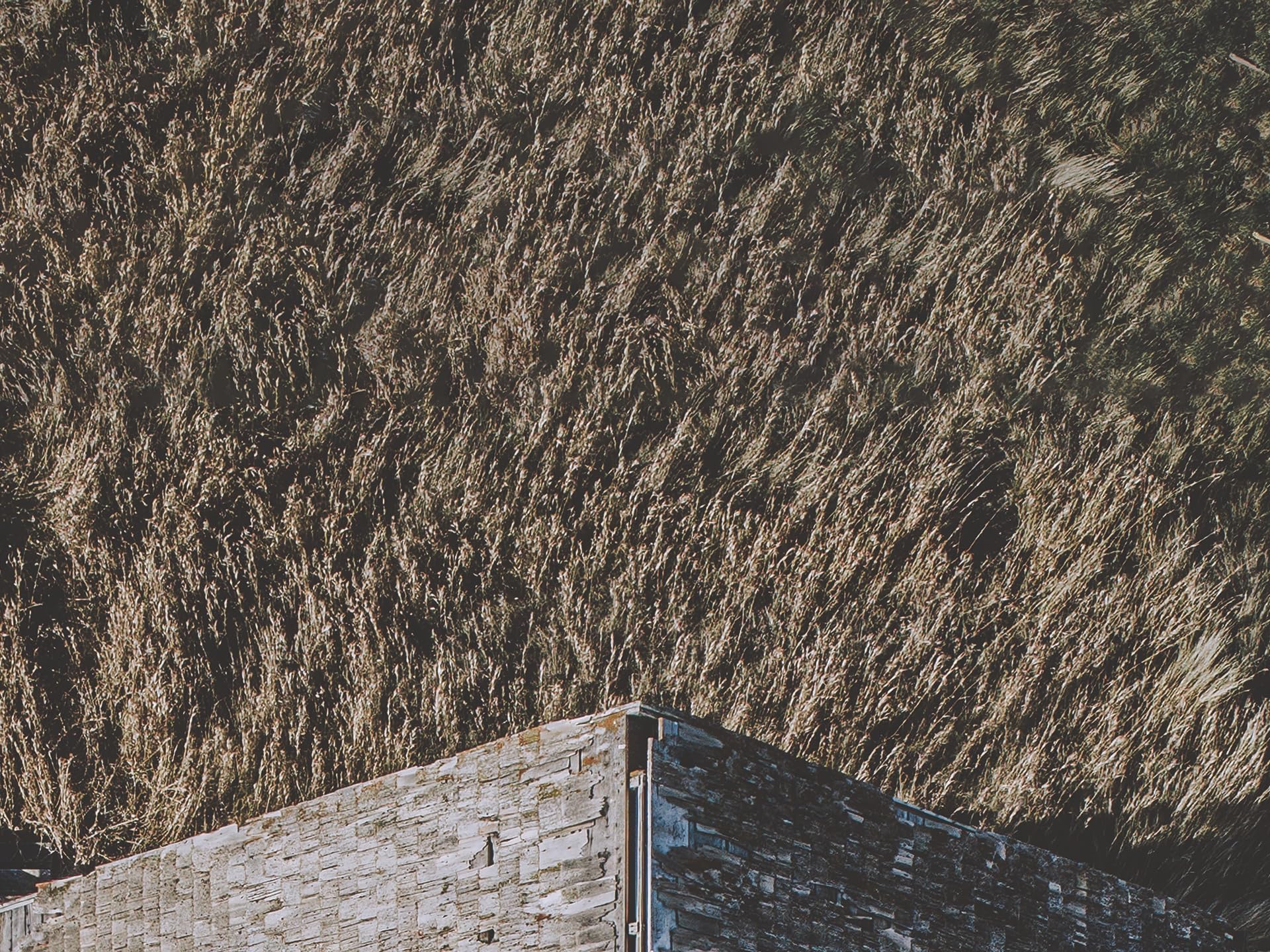 The Rural Alberta Advantage