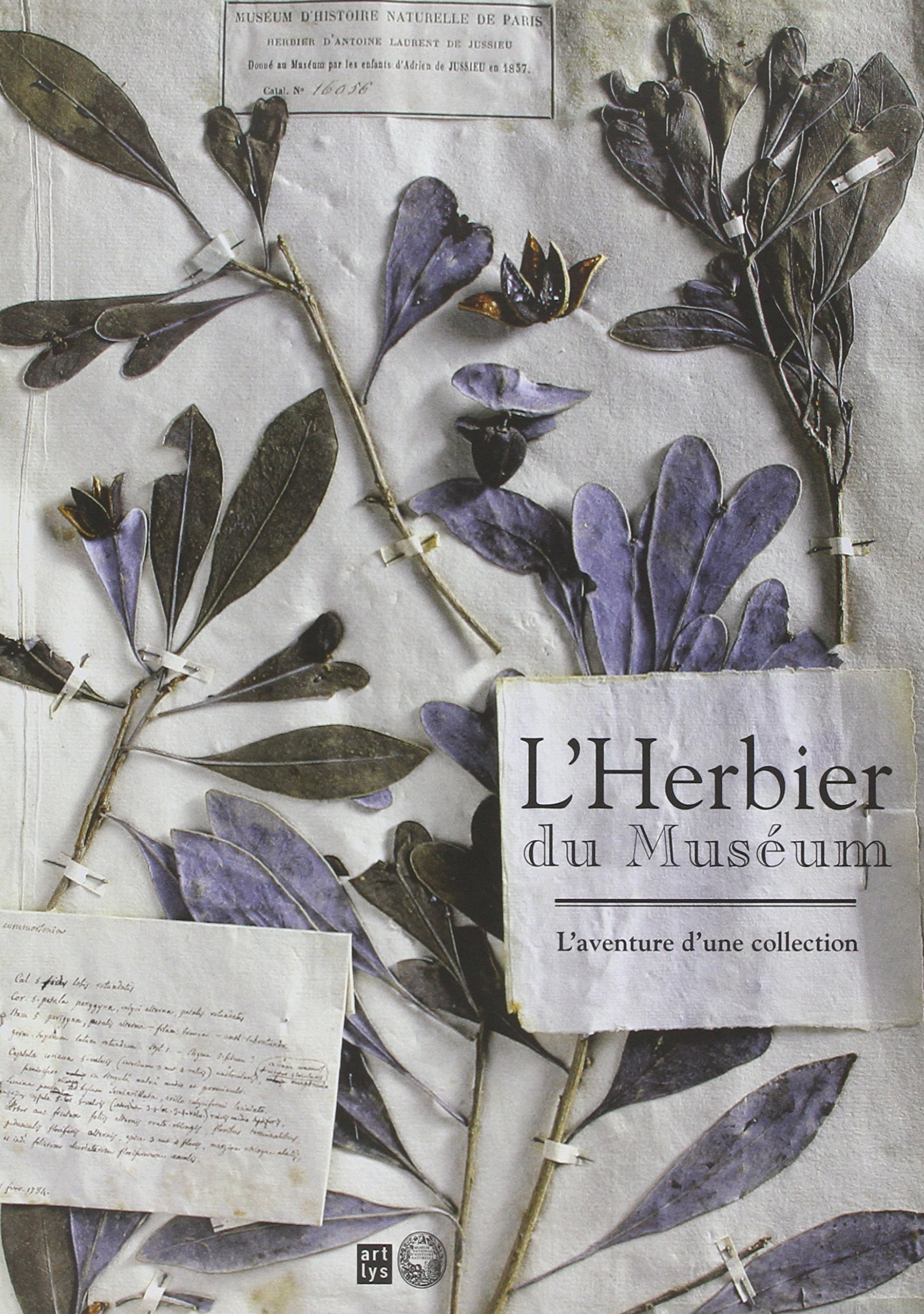 L'herbier du muséum livre botanique et herbier ancien de collection