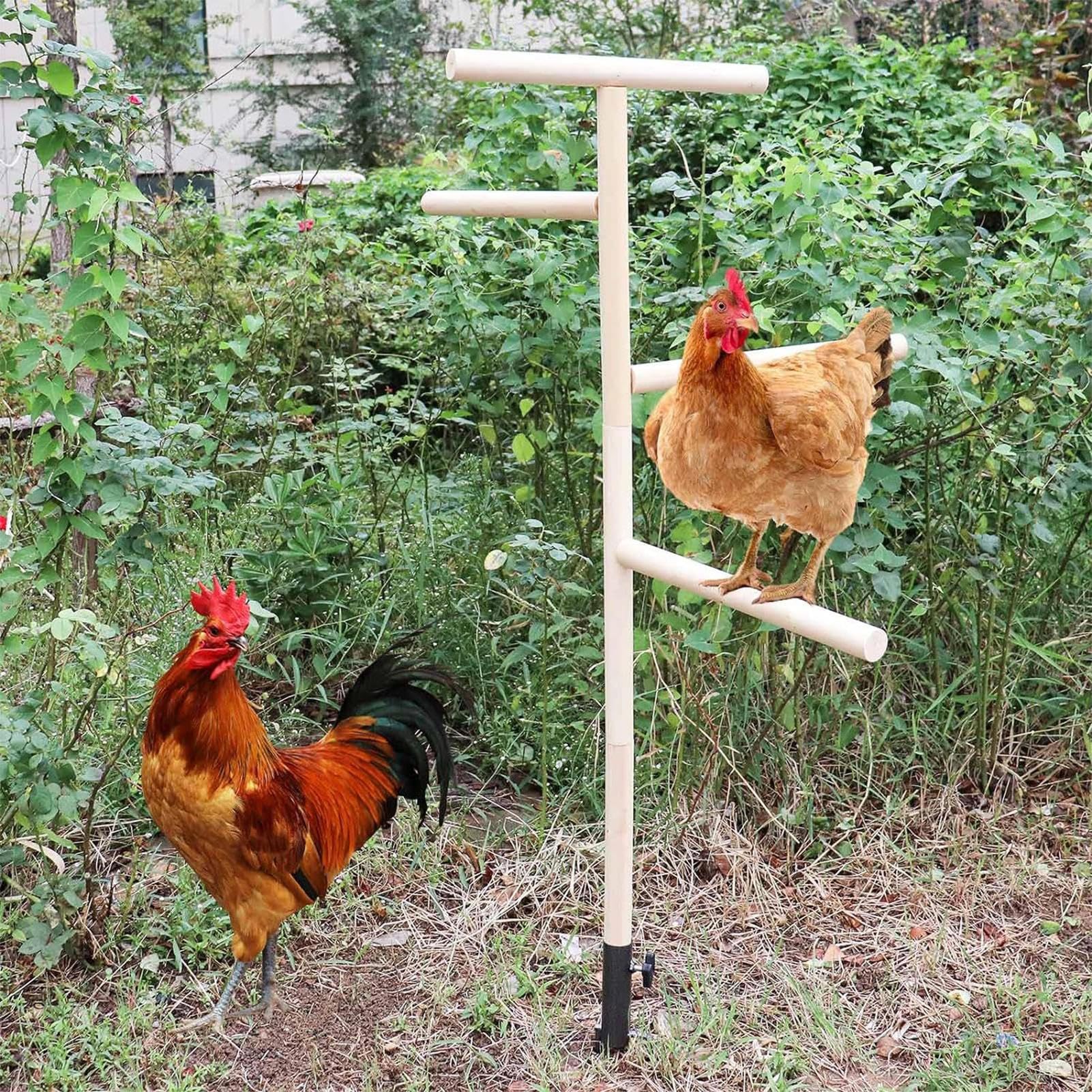 Percha De Pie para Pollos,Soporte De Perca para Pollitos Percha para Aves | Juguete de perca para patio de juegos enchufable en el suelo de metal para ca