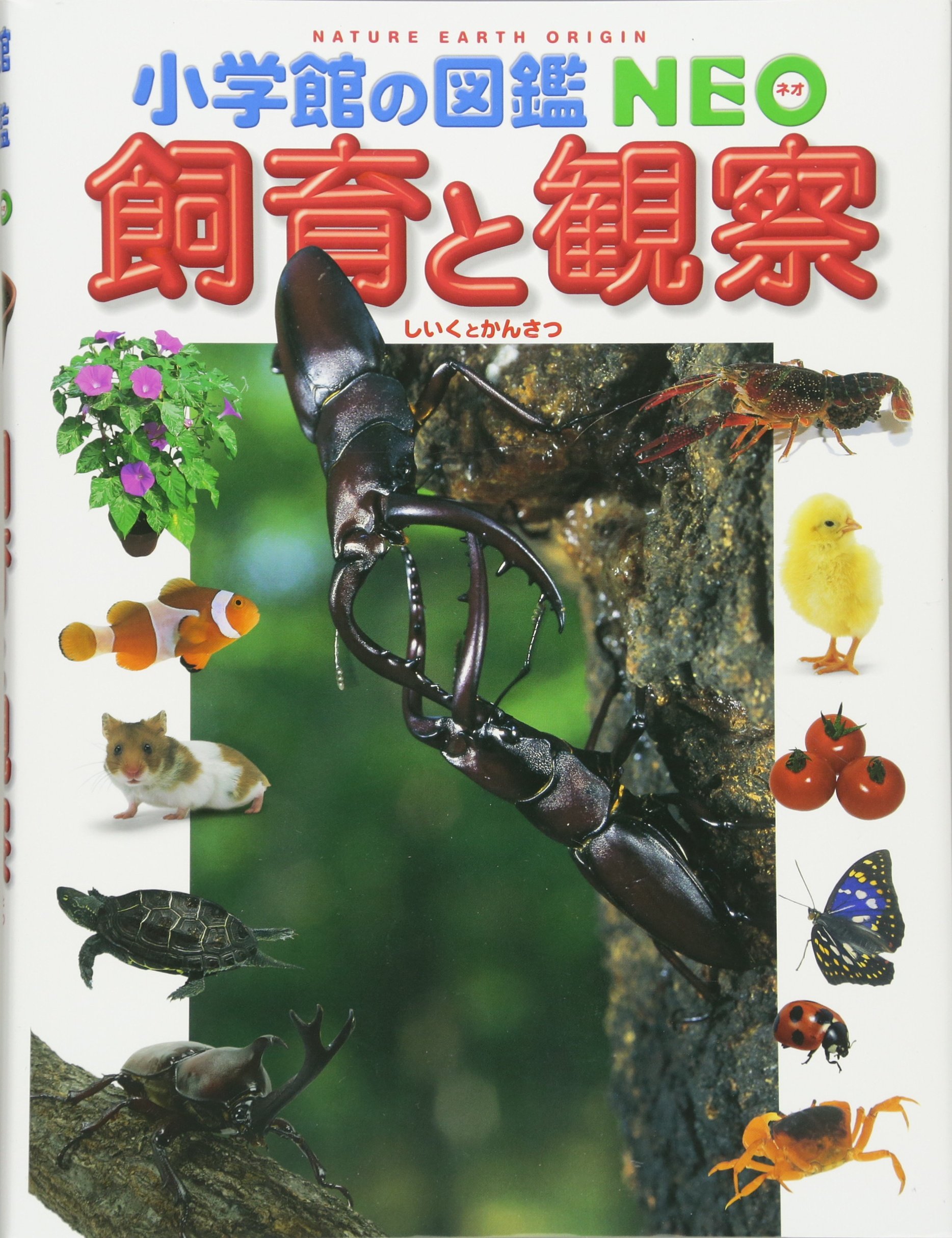 Amazon.co.jp: 小学館の図鑑NEO 飼育と観察 (小学館の図鑑・NEO 15 