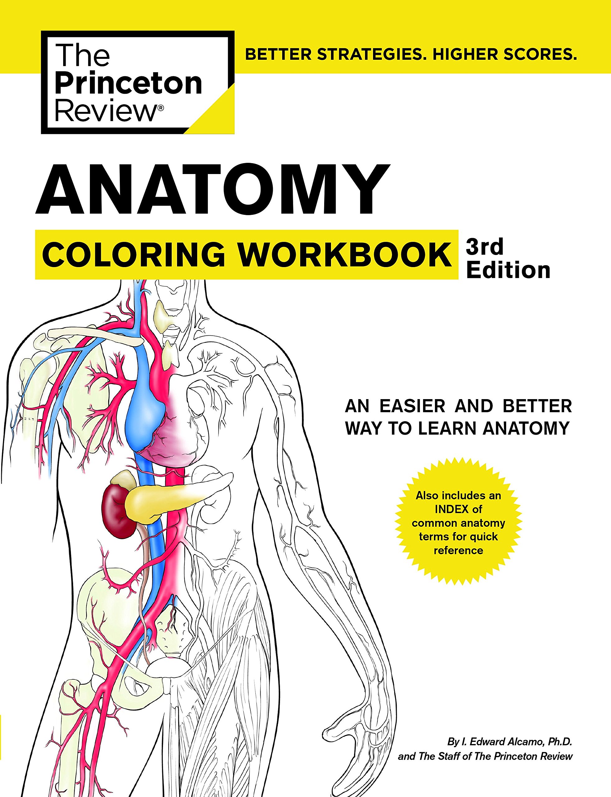 ANATOMY COLORING WOR