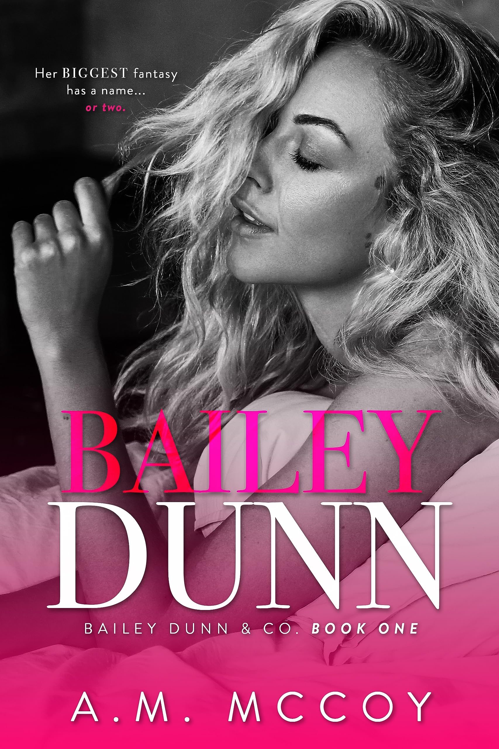 Bailey Dunn (Bailey Dunn & Co. Book 1)