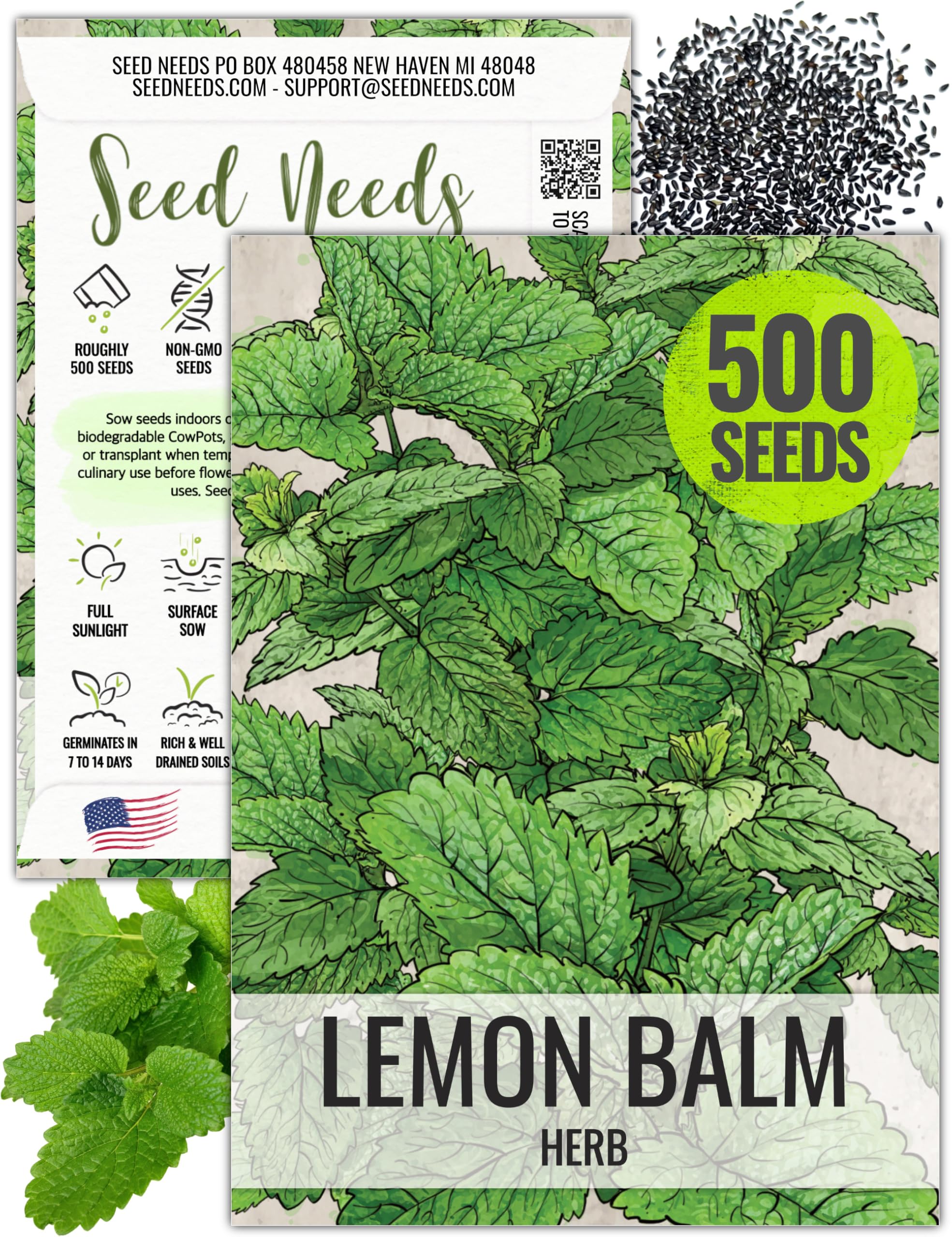 Lemon Balm Seedlings Lemon Balm Plant (Herbal Medicine)