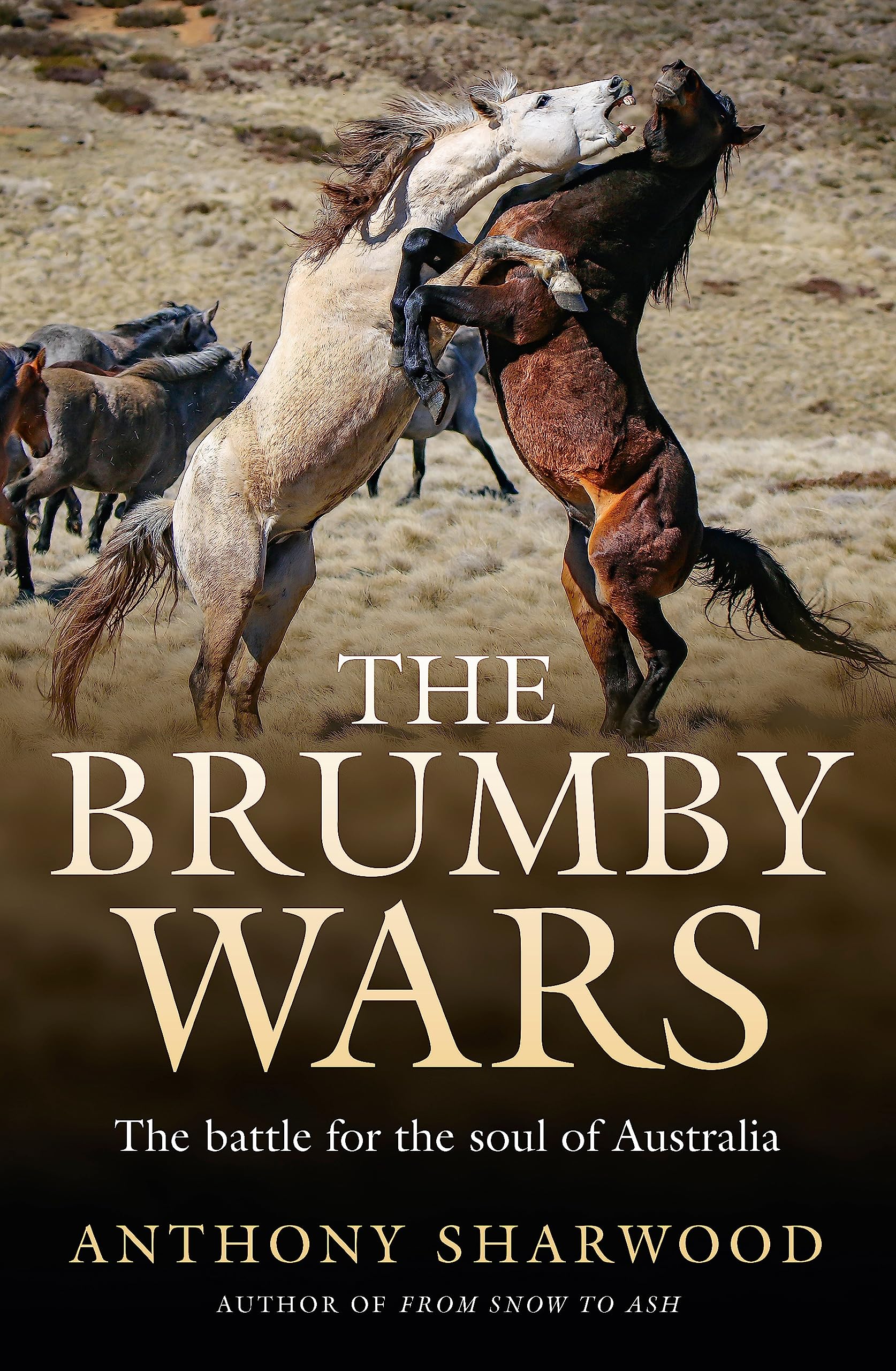 The Brumby Wars: The battle for the soul of Australia Paperback – 30 Dec. 2021