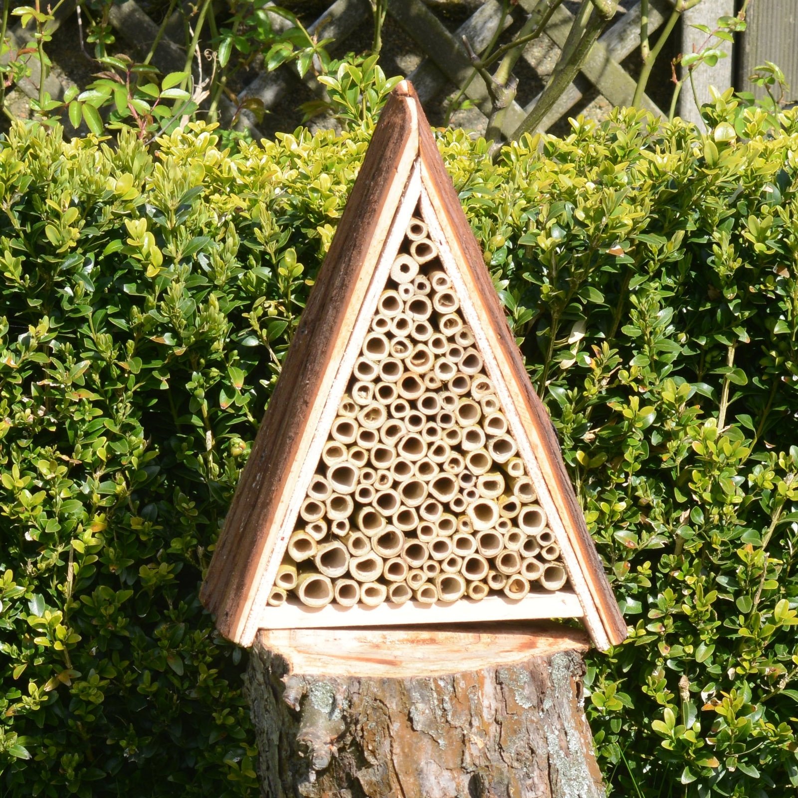 GARDIGO® Abri et Ruche pour Abeilles Solitaires en Bois Naturel; Hôtel Maison, Nichoir Abeilles Maçonnes Sauvages; Pollinisation Jardin; Made in Germany