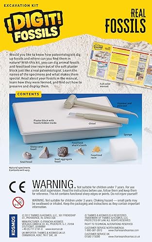 Miniatura 2 de Thames & Kosmos I Dig It! Fósiles - Kit de excavación de fósiles reales  Kit de experimentos científicos  Excavar especímenes fósiles reales