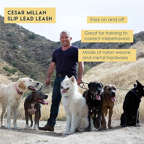 Miniatura 2 de Cesar Millan Slip Lead Leash Dog Leash in Training Leash (Regular, Black)