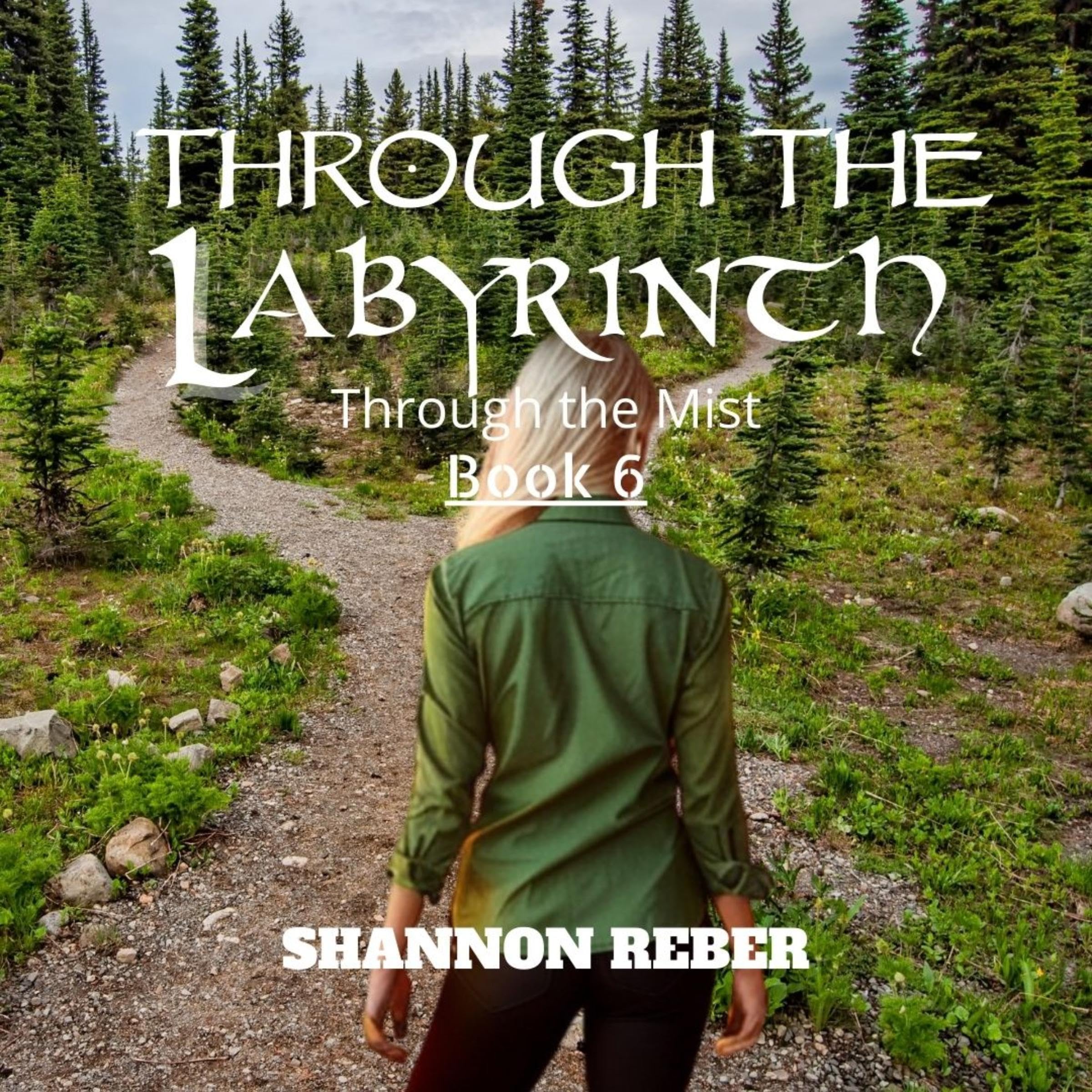 Cover art for Through the Labyrinth