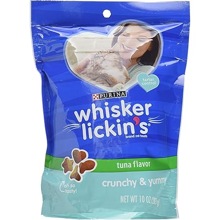 designer dog harness gucci