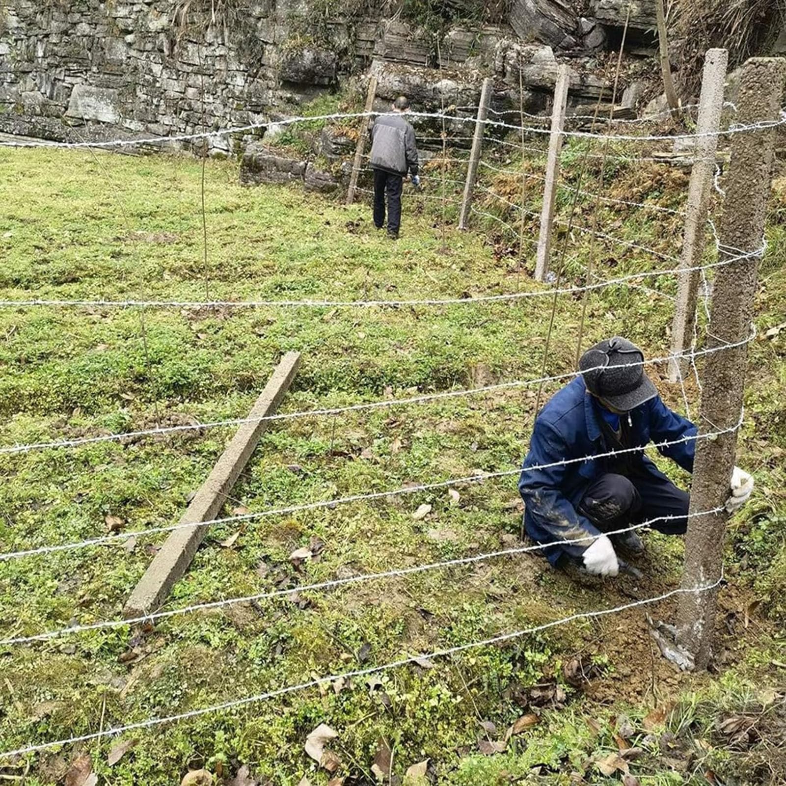 Alambre De Espino, Rollo De Alambre De Púas, Doble Cadena Acero Galvanizado, Fácil De Doblar Alambre De Púas para Patio O Manualidades, Seguridad Ganadera/Doméstica (200m)