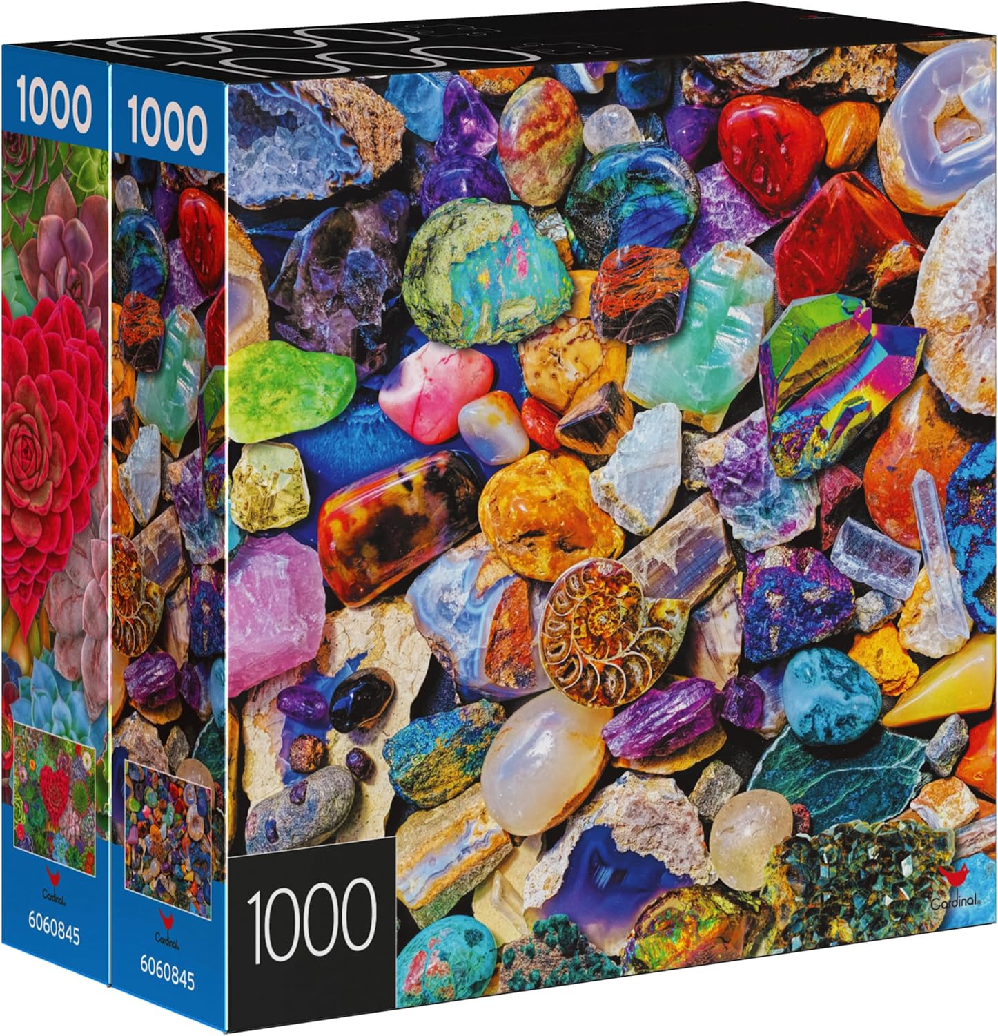 2-Pack of 1000-Piece Jigsaw Puzzles, Succulents & Rocks and Minerals | Puzzles for Adults and Kids Ages 8+, Amazon Exclusive