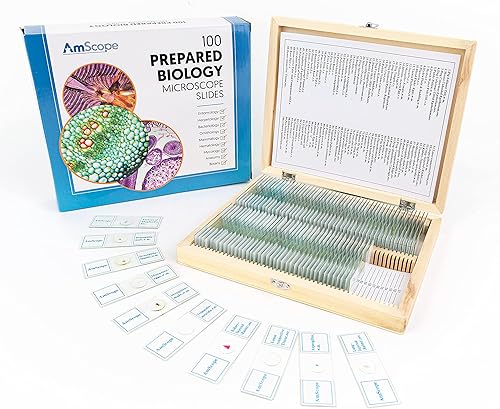 Miniatura 9 de AmScope microscopio para el mejor estudiante de 2016 40X-1000X lente de vidrio óptica con luz doble microscopio para estudiantes con marco de metal