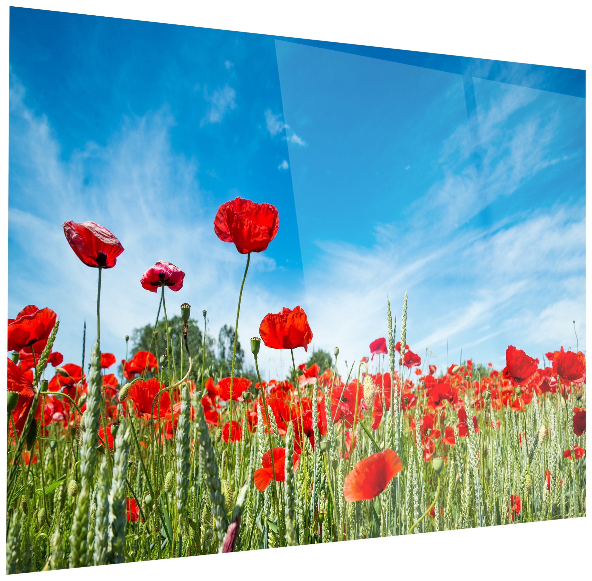 Designart Red Poppy Garden under Clear Sky-Flower Glossy Metal Wall Art-28x12, 12'' H x 28'' W x 1'' D 1P
