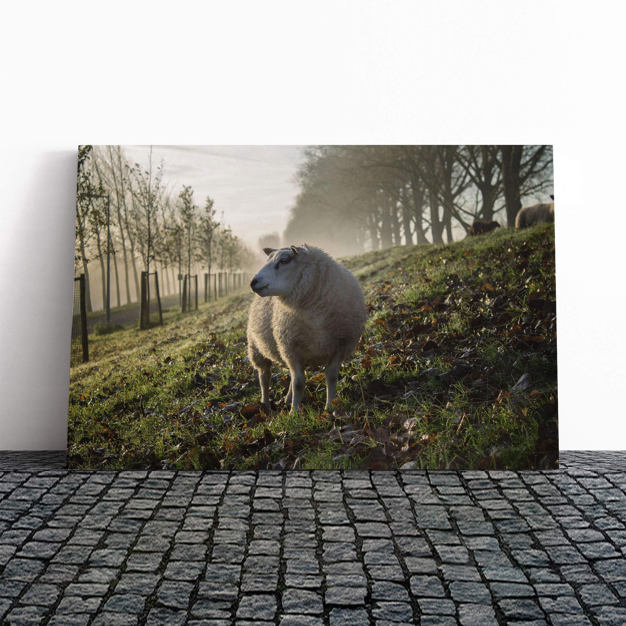 Woolly Sheep Landscape Canvas Print | Gallery Wrapped 30mm Frame Wall Art | 24x16 inches | Ready to Hang | Modern Animals Picture | Living Room Bedroom Lounge Office