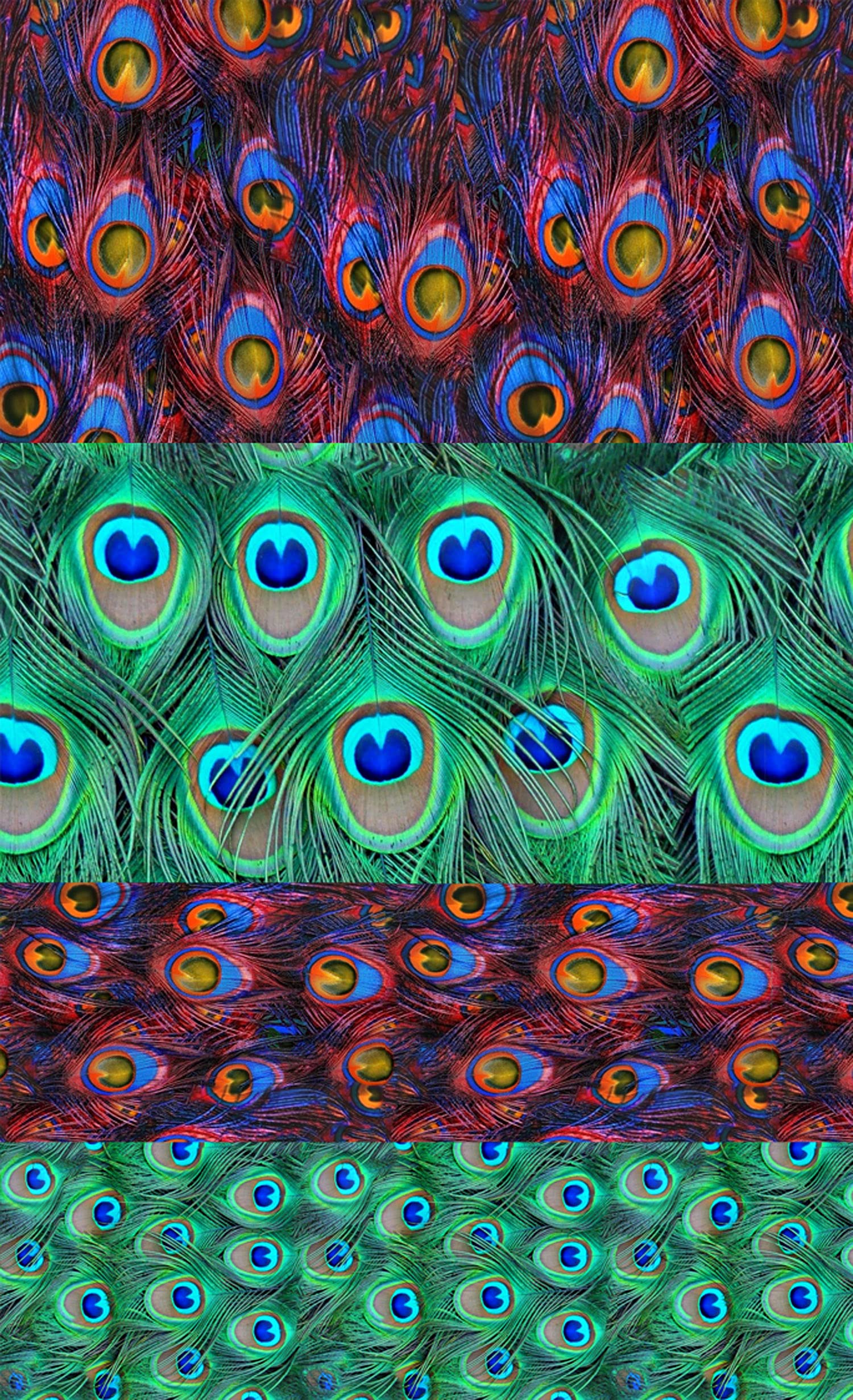 Flonz Flonznail Nail Decals # Peacock Feather Birds Textures Pattern Real Photo Stickers Transfers