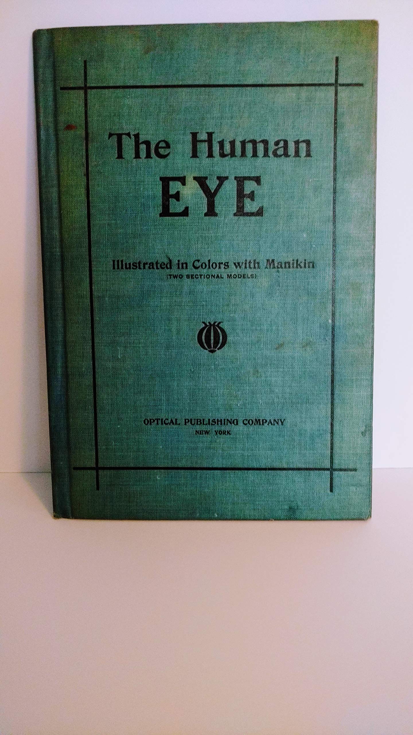 Buy The human eye With two dissected sectional models in colors