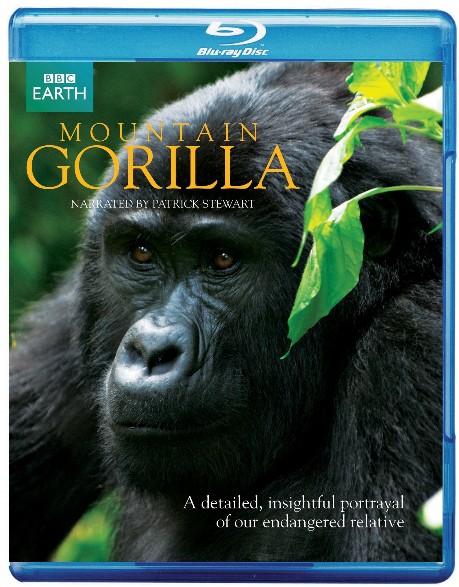Mountain Gorilla Edizione Regno Unito
