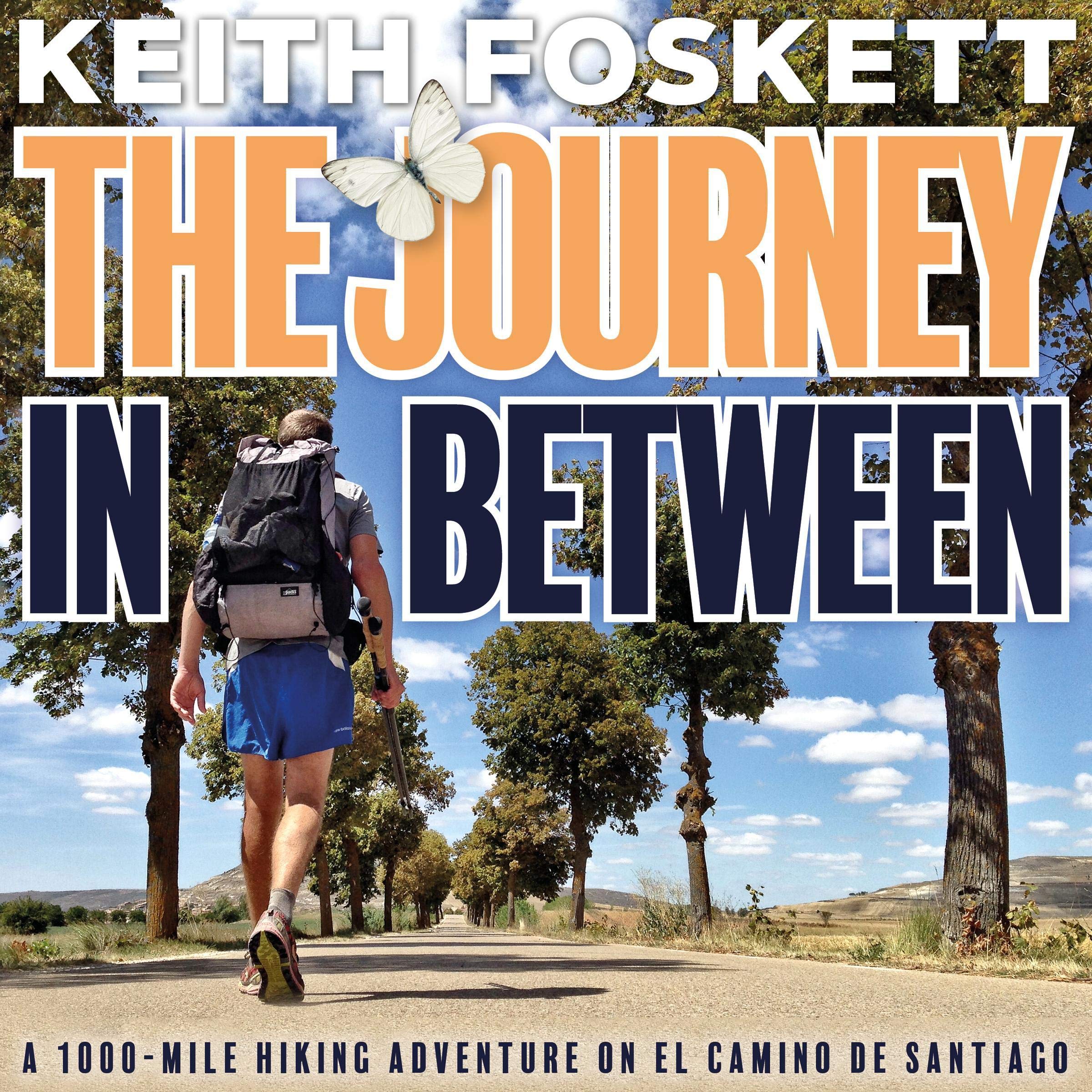 Cover art for The Journey in Between: A Thru-Hiking Adventure on El Camino de Santiago