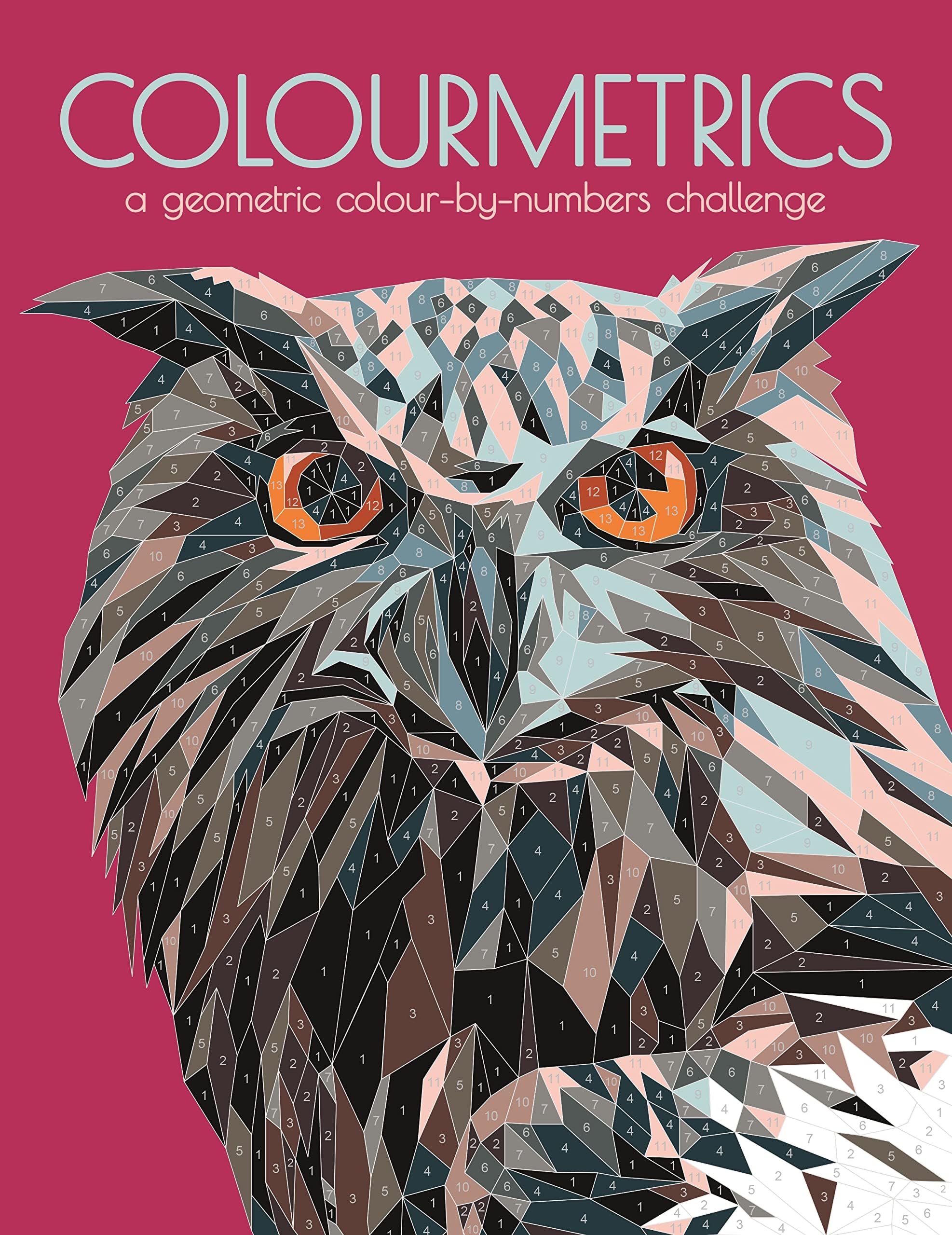 Buster Books Colourmetrics: A Geometric Colour by Numbers Challenge