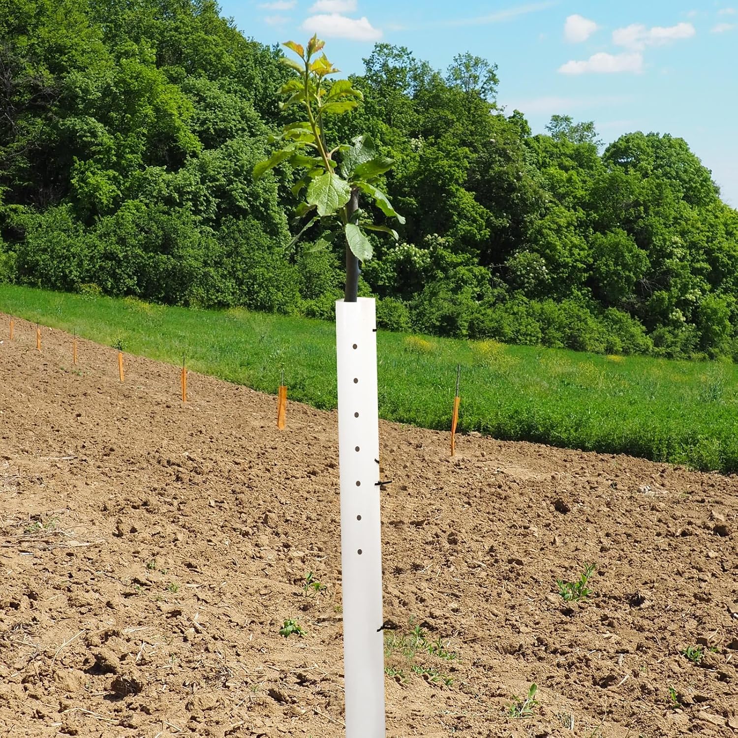 Pushglossy 5 Pack 48 Inch Tree Seedling Sapling Grow Tube Standard Vented Seedling Protectors Split Tree Grow Protector with Releasable Zip Ties Plant Shelter for Trunk Against Deer Rodent