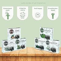 Vista 5 de TRUMIRI Leafy Incense Cones - Variety Pack - Total 60 Cone Incense (6 Scents x 10 Conos) - Citronella Lemongrass Eucalyptus Peppermint Cedar Pine