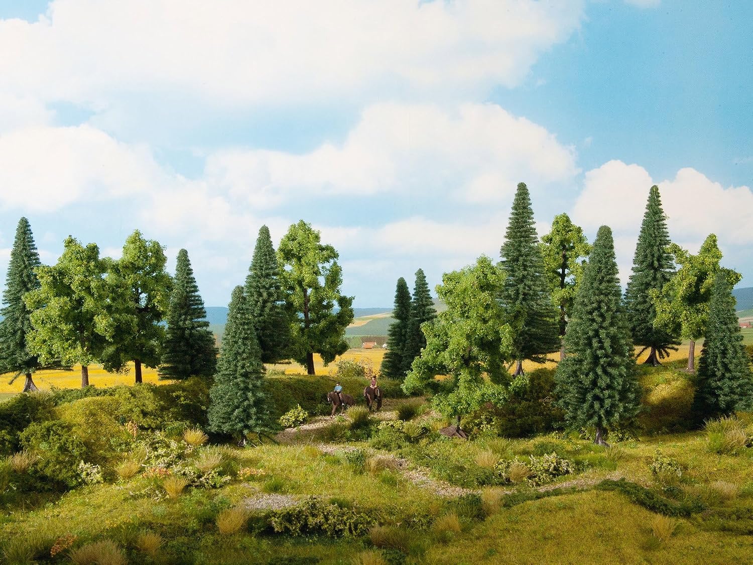Noch 24623 Mixed Forest
