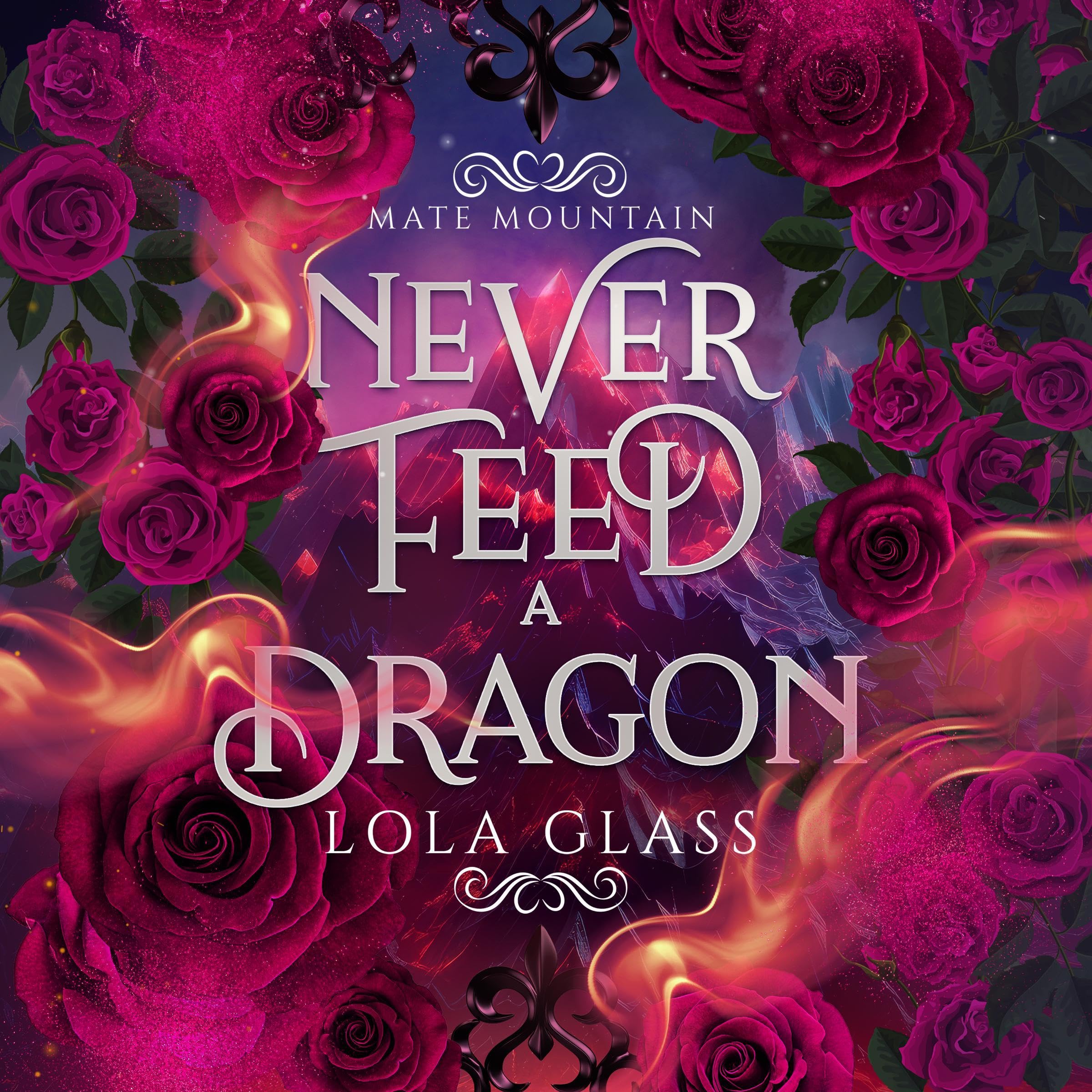 Cover art for Never Feed a Dragon