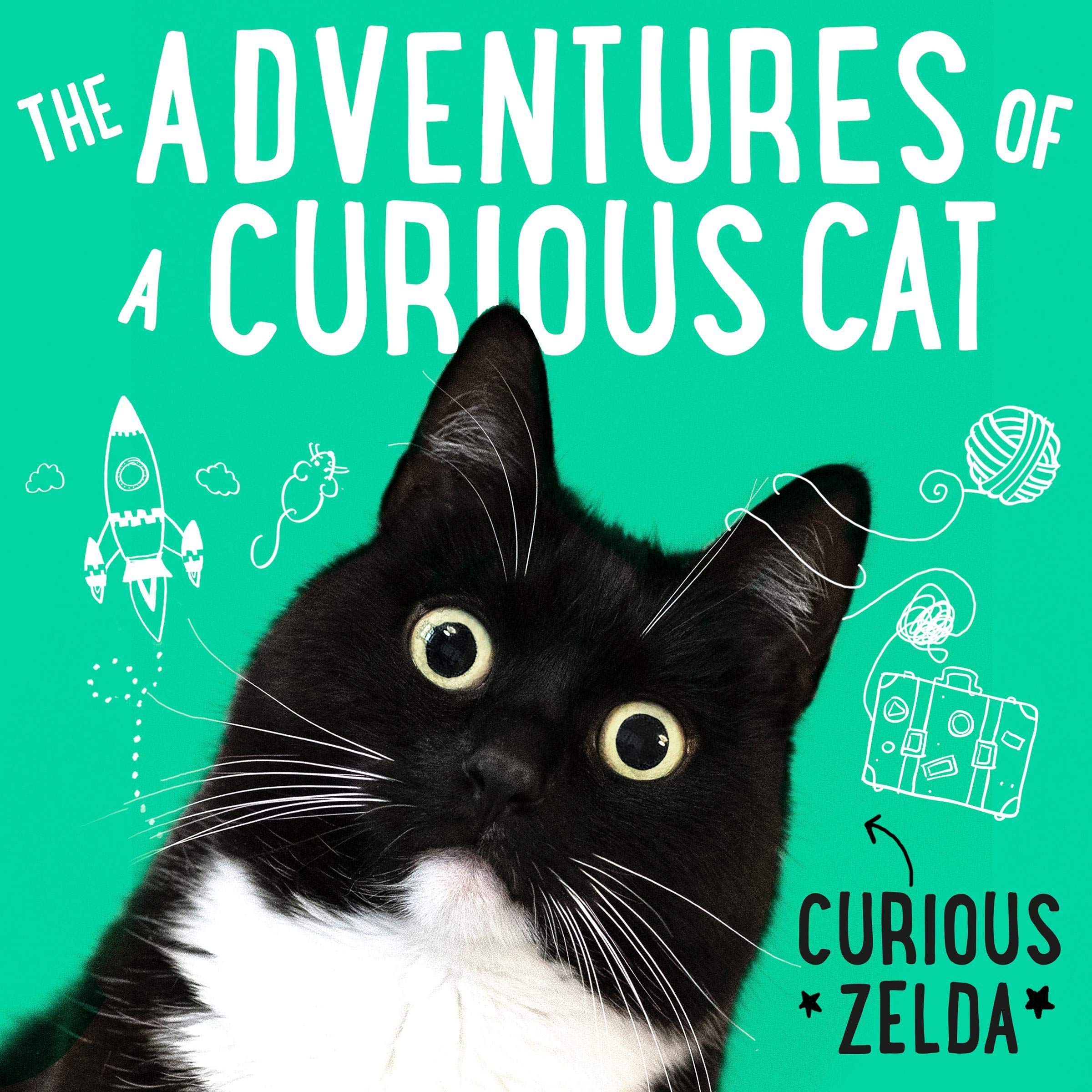 Cover art for The Adventures of a Curious Cat