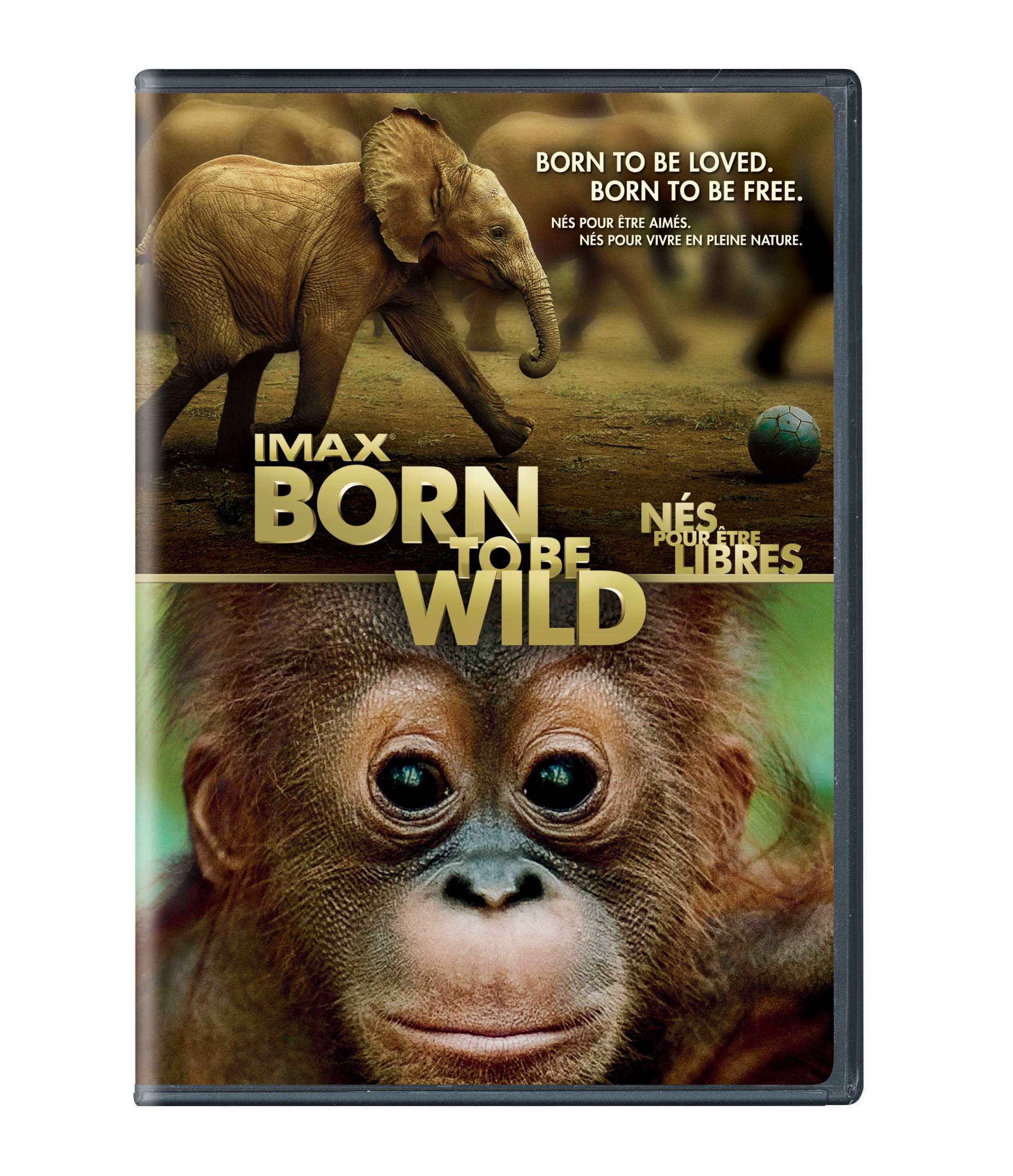 IMAX: Born to Be Wild [DVD]