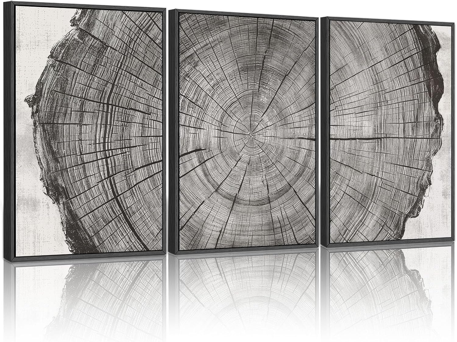 YCJKJDZ Framed Tree Ring Canvas Wall Art Set of 3, Black White Forest Wood Nature Wilderness Pictures Modern Art Rustic Scenic, Art Prints for living room, bedroom, office, or farmhouse – 16x24 in