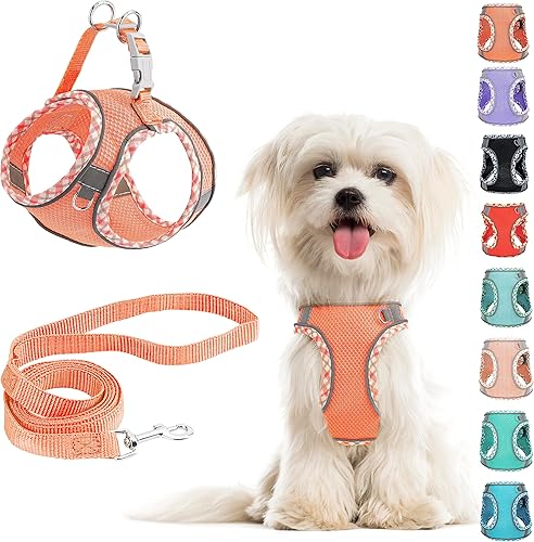Miniatura 1 de Juego de arnés y correa para perro pequeño, sin tirones, ajustable, reflectante, de malla transpirable, arnés para perro fácil de caminar, para