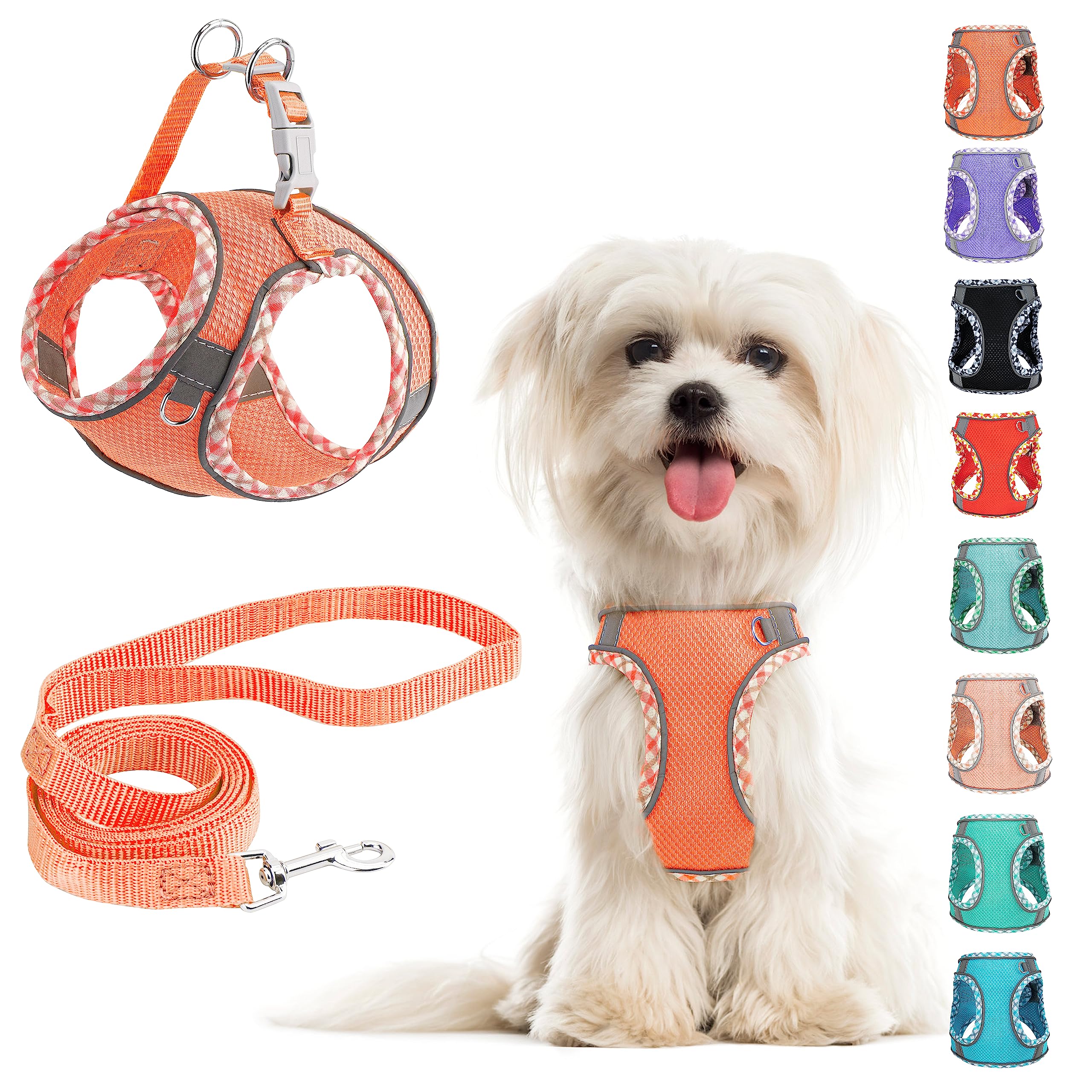 No Pull Dog Harness and Leash Set - Adjustable Reflective Breathable Mesh Step in Easy Walk for Extra Small/Small Medium Cats Puppy Outdoor Hiking