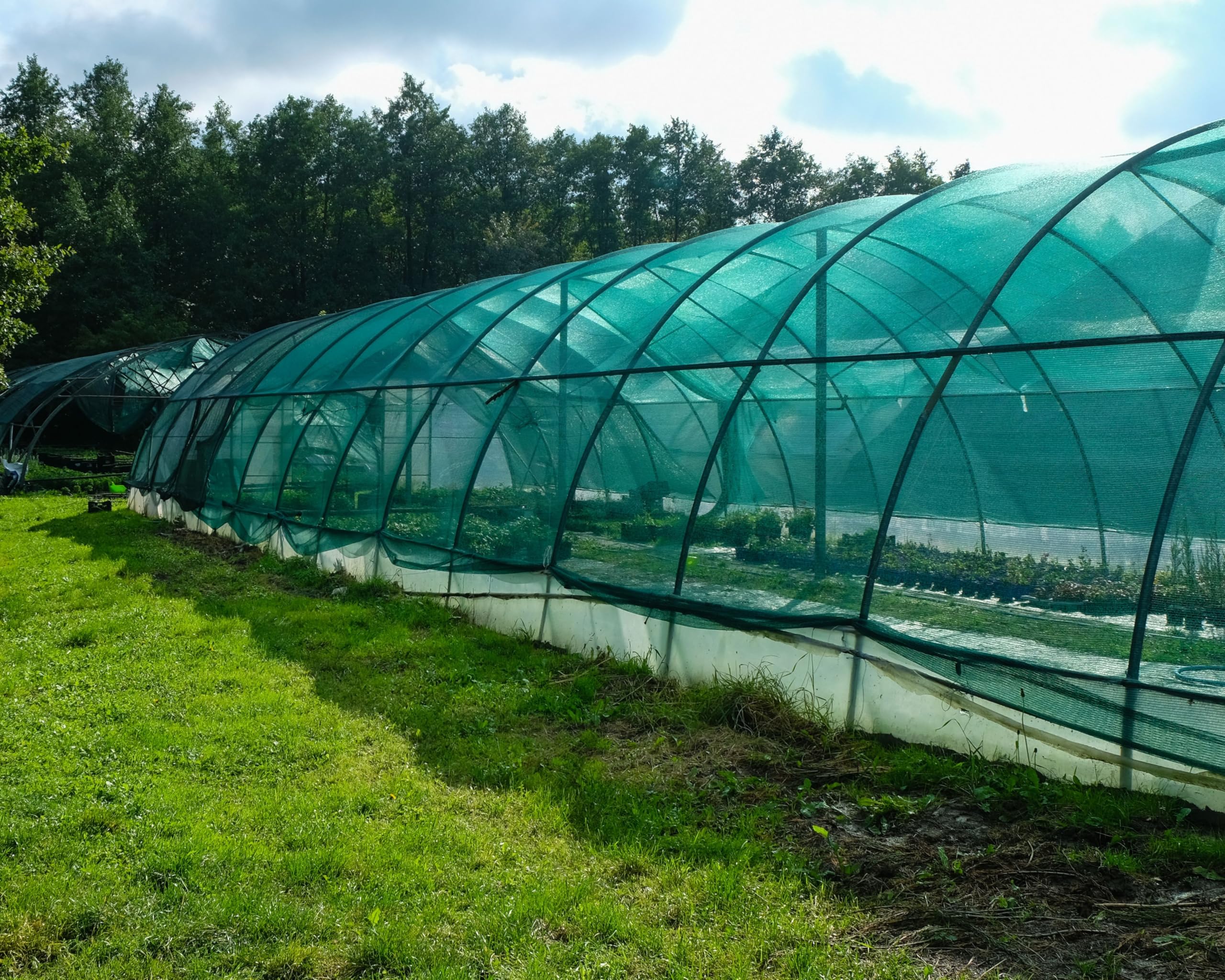 EraGreen Schattiernetz 3m x 5m - Sonnenschutz mit 60% Schattierwirkung für Pflanzen, Gartenzaun und Balkon - Abdunkelung für Gewächshaus - UV-stabilisiert und wetterfest