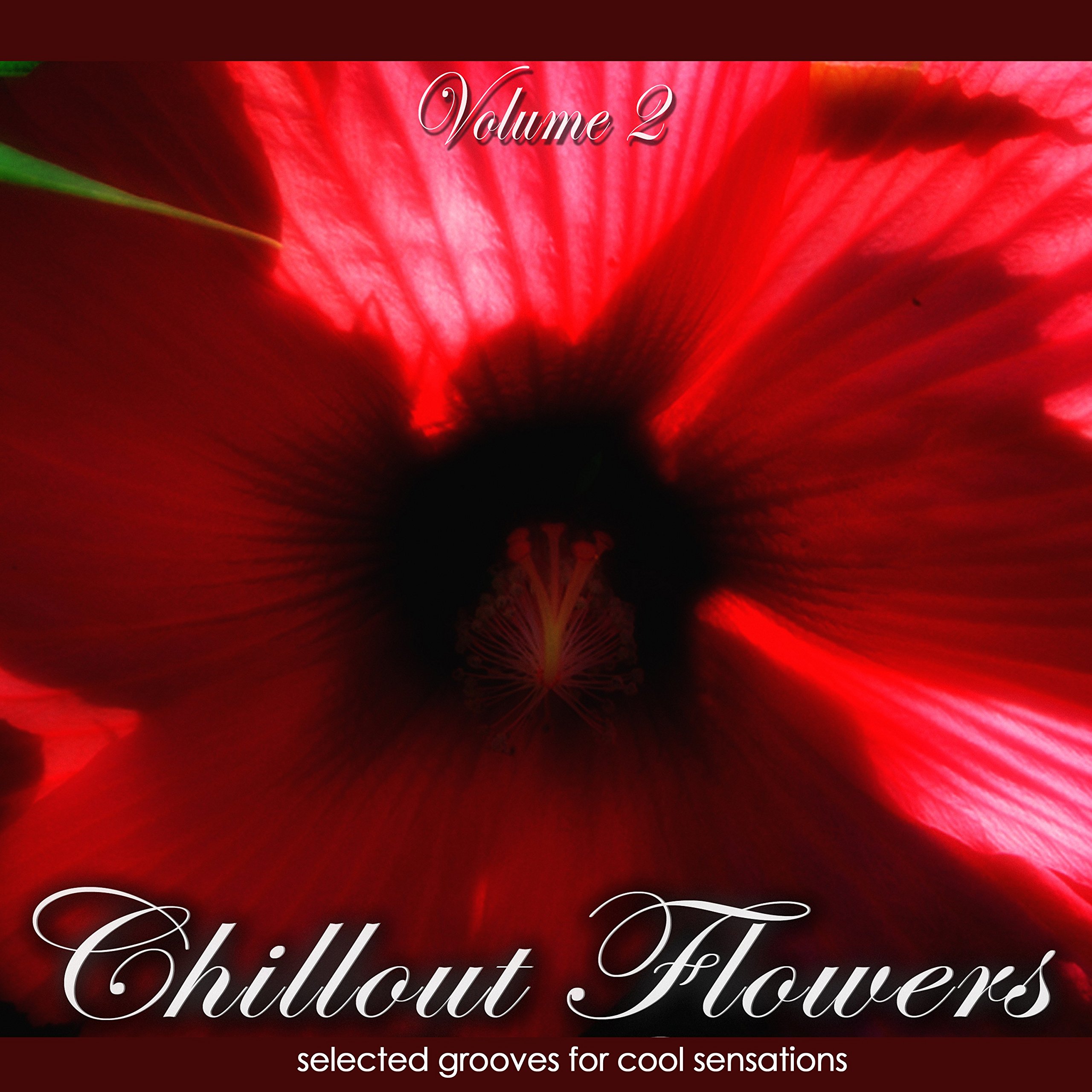 Chillout Flowers, Vol. 2 (Selected Grooves for Cool Sensations)