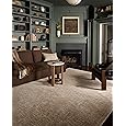Loloi Margot Collection MAT-04 Antique/Sage 2'-3" x 3'-9" Accent Rug, No-Shed Easy Clean Large Patterned Area Rug for Living Room, Bedroom, Dining Area