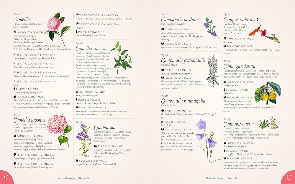 洋書 TER COMPLETE FLOWERS The Complete Language of Flowers: A Definitive and