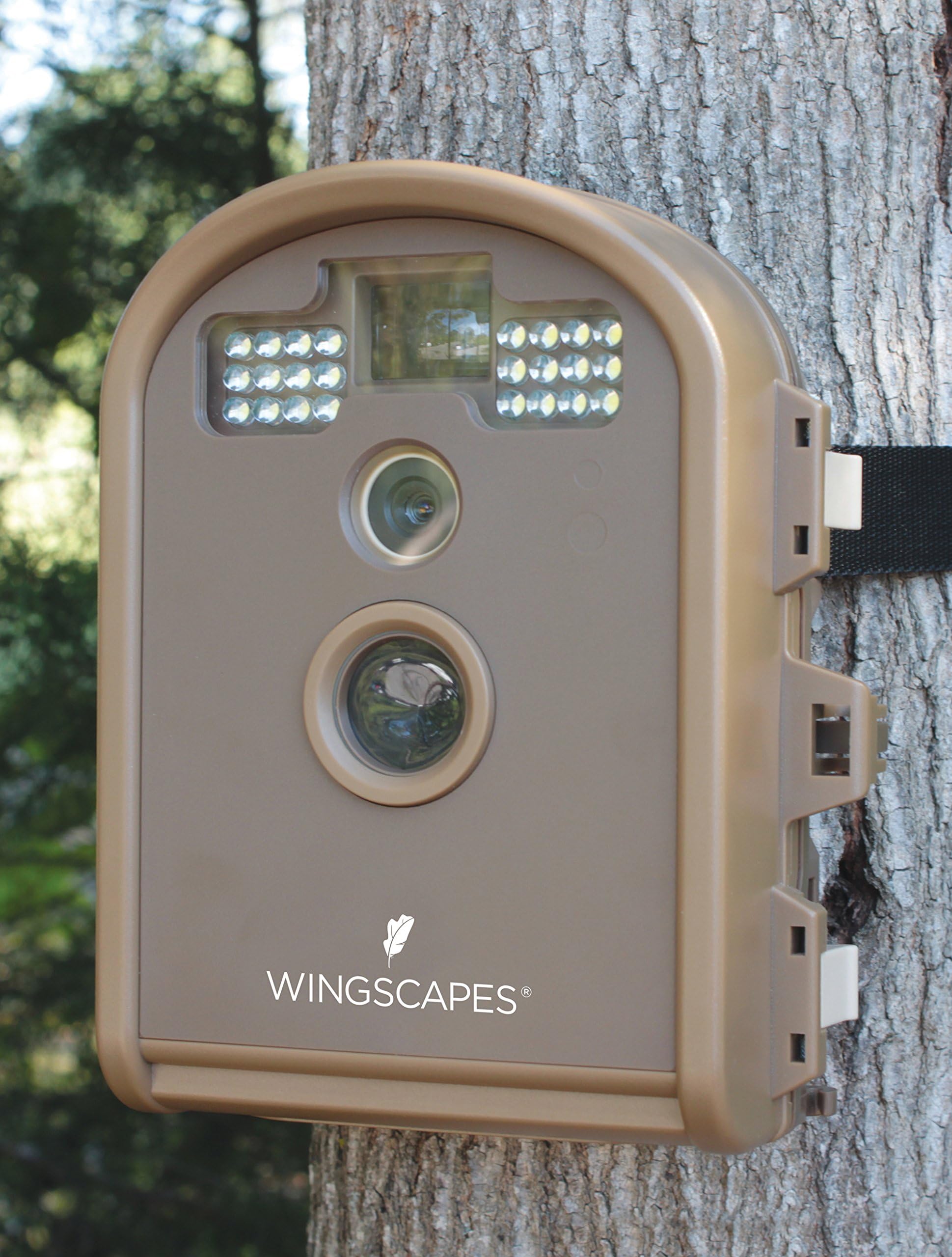 Outdoor Wildlife Camera