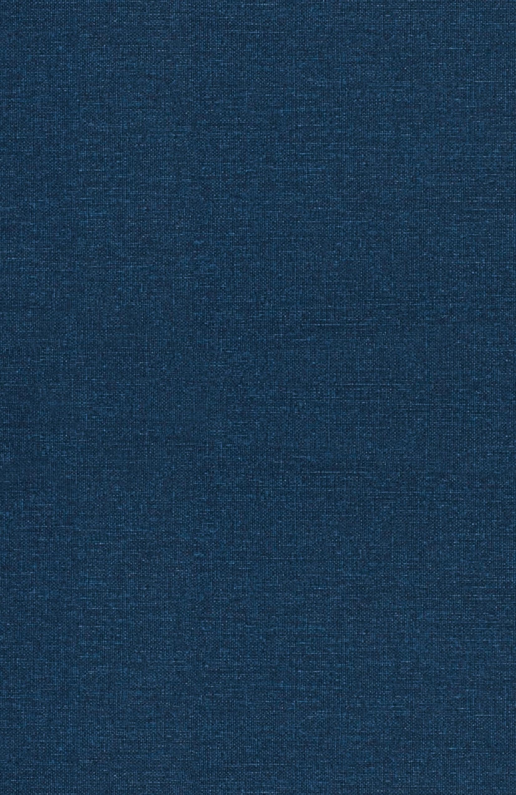 The Writer's Workshop: Tools and Tips for Aspiring Authors